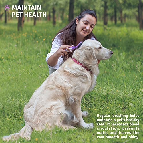 Gentle Bristle Pet Brush for Dogs and Cats