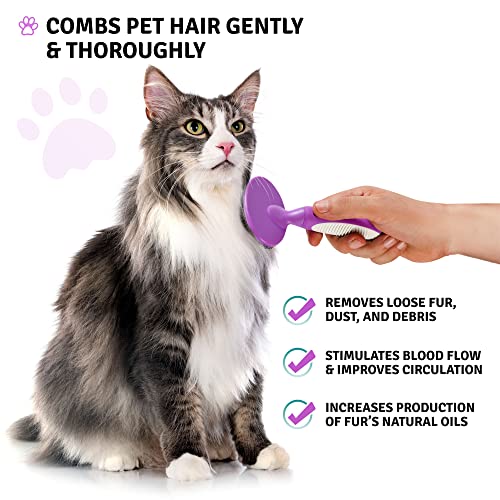 Gentle Bristle Pet Brush for Dogs and Cats