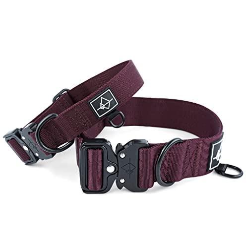 ROAM Premium Adjustable Dog Collar - Heavy Duty