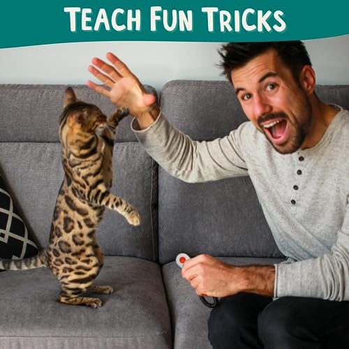 Cat Training Kit - Clicker, Stick, Pouch, Guide