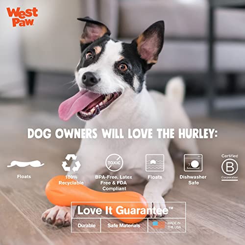 Aqua Zogoflex Hurley Bone Chew Toy