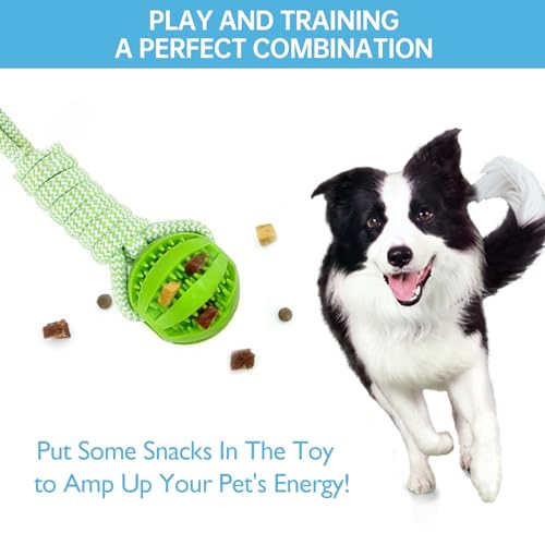 Adjustable Bungee Tugger Toy with Chew Ropes for Dogs