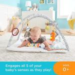 Fisher Price Activity Gym for Infants and Toddlers