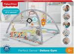 Fisher Price Activity Gym for Infants and Toddlers