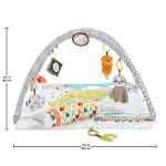 Fisher Price Activity Gym for Infants and Toddlers