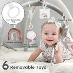 Plush 5-in-1 Baby Gym Grey