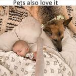 Plush 5-in-1 Baby Gym Grey