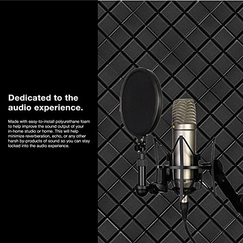 Fstop Labs Soundproof Acoustic Foam Panels (12 Pack, Black)