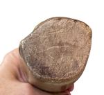 Hand Carved Stone Tribal Figurine Sculpture 4