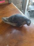 Vintage Inuit Soapstone Seal Sculpture, Signed Art