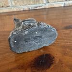Hand Carved Soapstone Seal Sculpture by WE