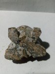 Soapstone Frog Carving – Inuit Art Piece