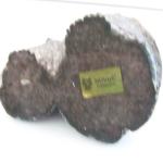 Inuit Soapstone Carving of Mother and Baby Owls