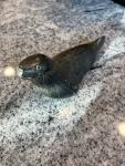 Inuit Stone Seal Figure Art Carving