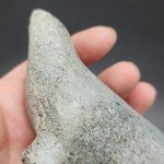Signed Ocean Seal Inuit Stone Carving Statue