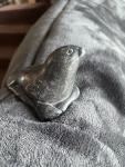Inuit Seal Soapstone Sculpture - Hand-Carved Art