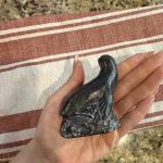 Vintage Alaska Soapstone Seal Figurine Hand Carved Inuit Style Signed WF