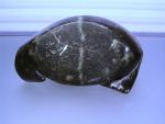Vintage Inuit Seal Soapstone Carving, Signed