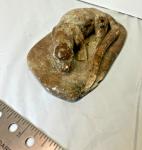 Inuit Soapstone Otter Carving by C. Harris