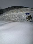 Vintage Inuit Soapstone Beluga Whale/Seal Carving