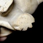 Hand-Carved Vintage Stone Elephant Sculpture 6