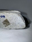 Vintage Inuit Soapstone Beluga Whale/Seal Carving