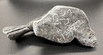 Signed Vintage Inuit Soapstone Seal Carving 4.5”