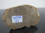 Inuit Soapstone Seal Sculpture - Signed Art Piece