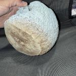 Hand Carved Stone Face Sculpture for Garden