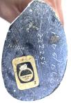 Signed Inuit Soapstone Whale Tail Carving