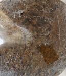 Inuit Soapstone Seated Bear by Eric Tepton III