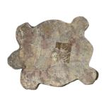 Inuit Stone Turtle with Baby Figurine Sculpture