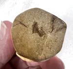 Stone Mushroom Button Cap - 2" Tall Inuit Art