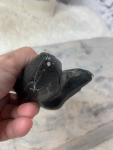Signed Vintage Inuit Soapstone Bird Carving