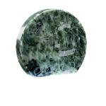 Inuit Soapstone Carving: Siku Eskimo Igloo Art