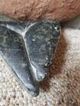 Inuit Seal Stone Carving - Signed Alaskan Art
