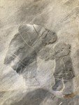 David R. Signed 14"x10" Inuit Marble Sculpture