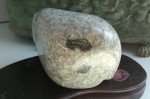 Artist-Signed 1988 Inuit Carved Stone Mouse