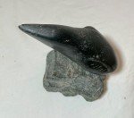 Hand-Carved Inuit Bird Sculpture in Soapstone