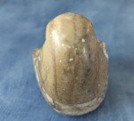 Inuit Stone Carving of Woman Figurine