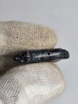 Rare Black Stone Inuit Carving of Dog