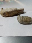 Inuit Soapstone Seal Carvings - Vintage Pair