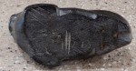 Larger Inuit Stone Seal Carving Art Piece