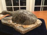 Alaska Inuit Sculpture by Glenn Tingook