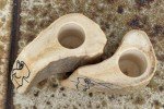 Inuit Art Vintage Hand-Carved Candle Holders Pair