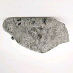 Soapstone Walrus Sculpture by Lucassie Qumaluk