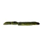 Handmade Green Soapstone Bird Pendant - Inuit Art