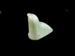 Inuit Soapstone Seal Sculpture – Signed Vintage Art