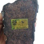 Handmade Canadian Soapstone Seal Carving Art