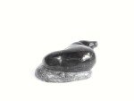 Inuit Soapstone Seal Sculpture - Signed Carving